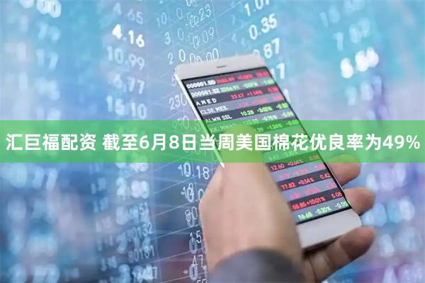 汇巨福配资 截至6月8日当周美国棉花优良率为49%