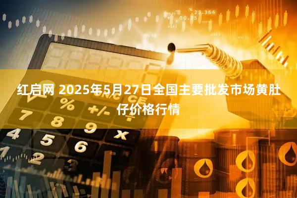 红启网 2025年5月27日全国主要批发市场黄肚仔价格行情