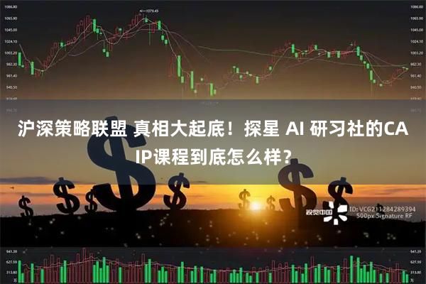 沪深策略联盟 真相大起底！探星 AI 研习社的CAIP课程到底怎么样？