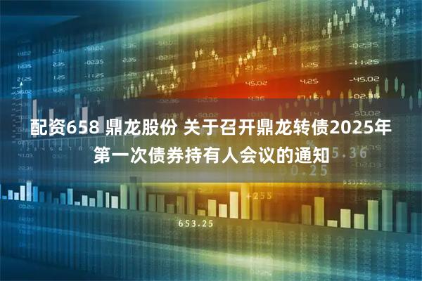 配资658 鼎龙股份 关于召开鼎龙转债2025年第一次债券持有人会议的通知